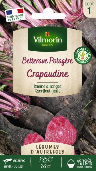 Potagères - Betterave Potagère Crapaudine - Légumes d'Autrefois - face recto